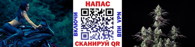 Где купить наркотики Алагир COCAIN Псилоцибиновые грибы Меф мяу мяу СК гидра рабочий сайт МАРИХУАНА ГАШ