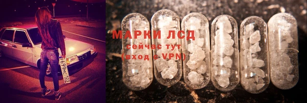 spice Шадринск