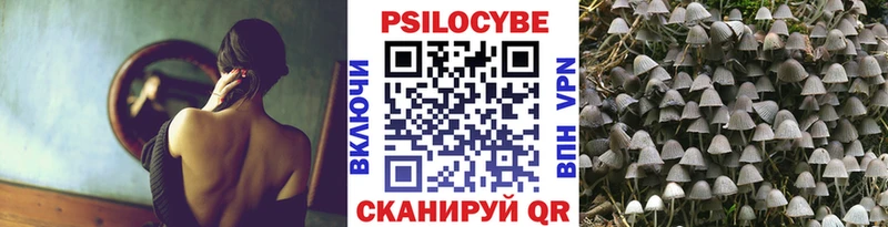 Псилоцибиновые грибы Psilocybe  Алагир 